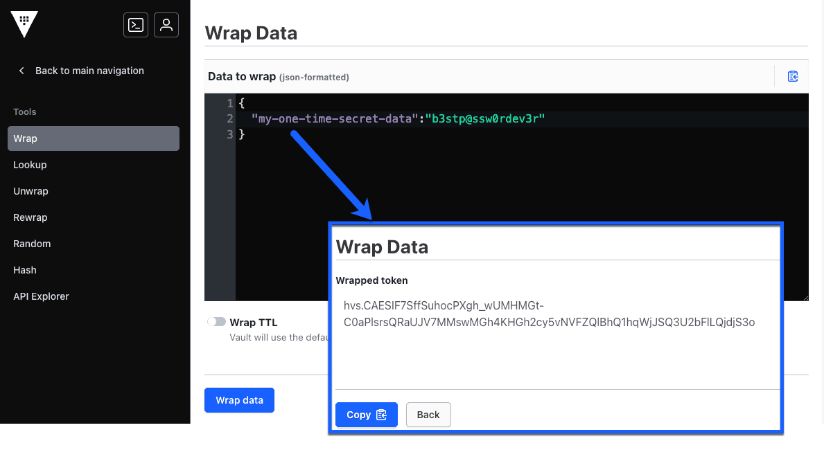 Vault UI showing the wrap tool with a sample JSON string before being
tokenized